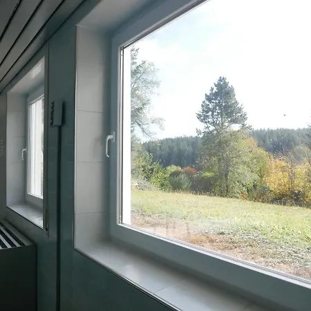 Apt 3 Haus Lucia Apartment Schoenwald im Schwarzwald