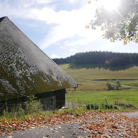 Apt 3 Haus Lucia Schoenwald im Schwarzwald
